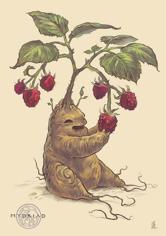 Illustration Myriad 1