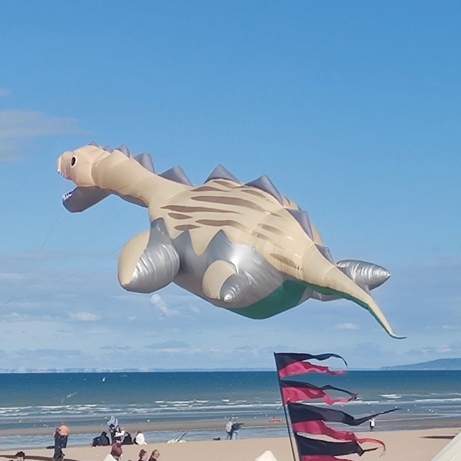 Dragon kite riders