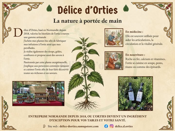 Délice d'Orties
